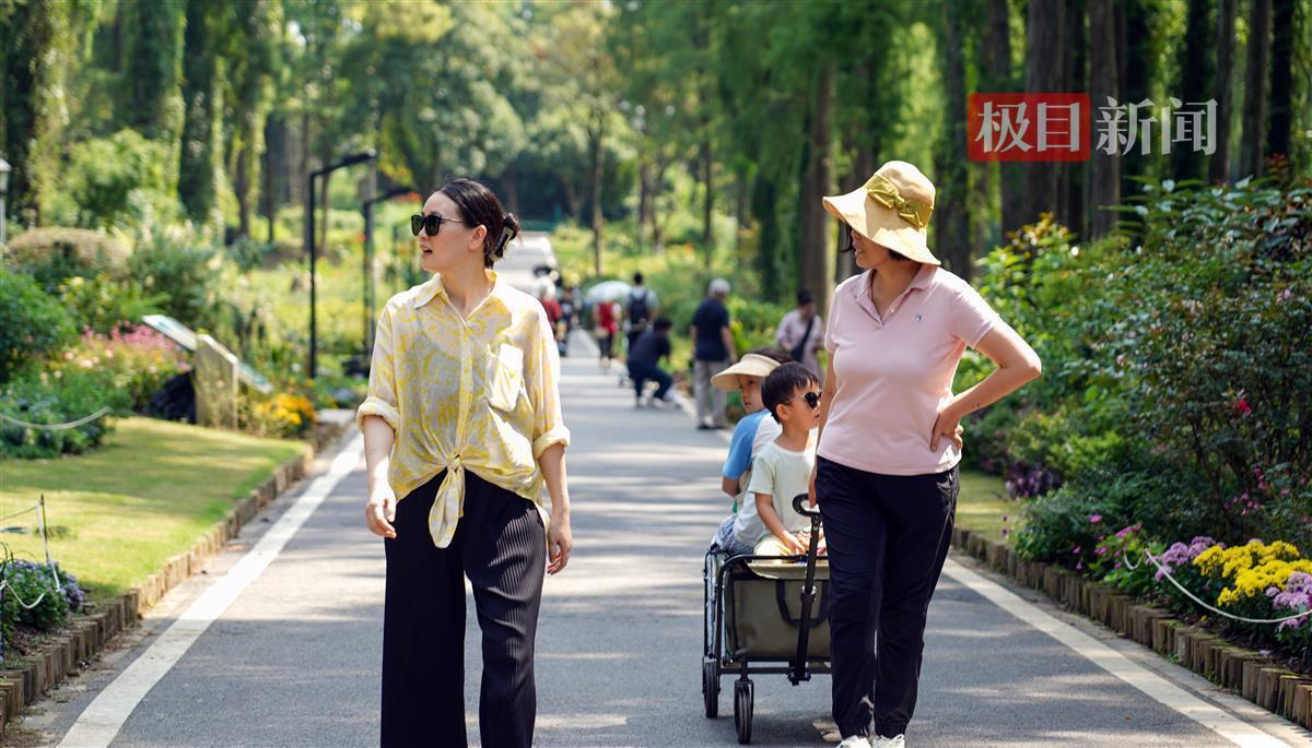 吉祥网官网